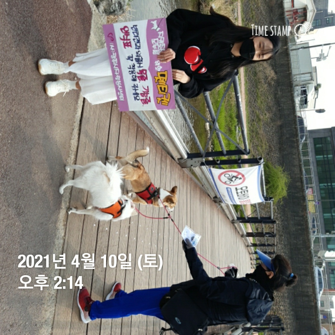 KakaoTalk_20210410_195205987_01.jpg