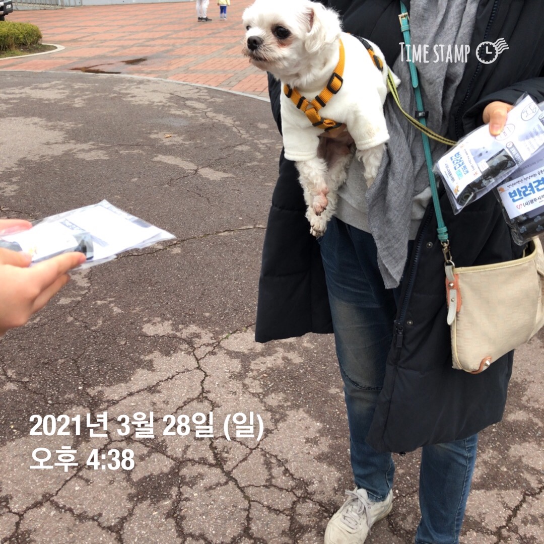 KakaoTalk_20210410_150502672_04 (1).jpg