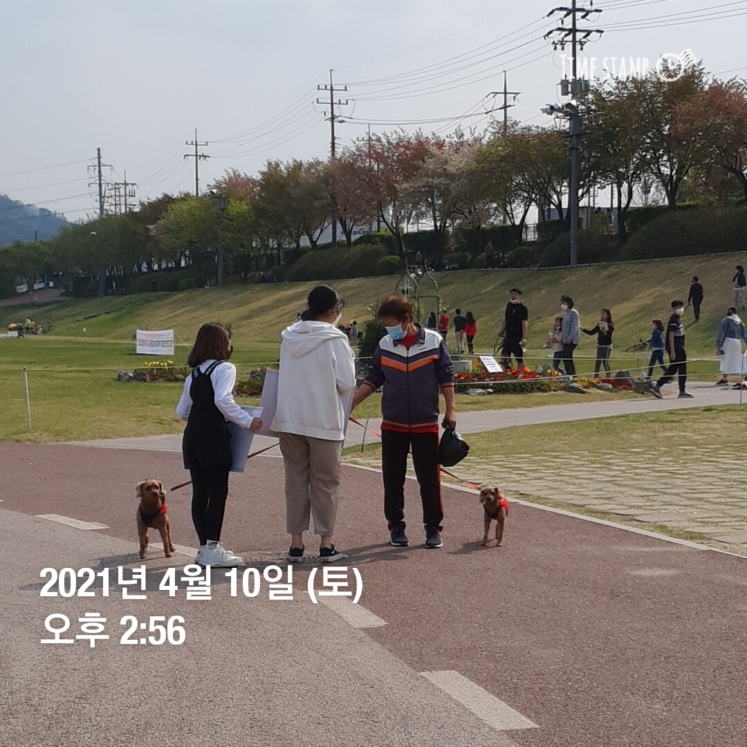 KakaoTalk_20210410_151331795_02.jpg